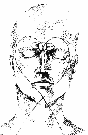 Ida and Pingala crossing in the head