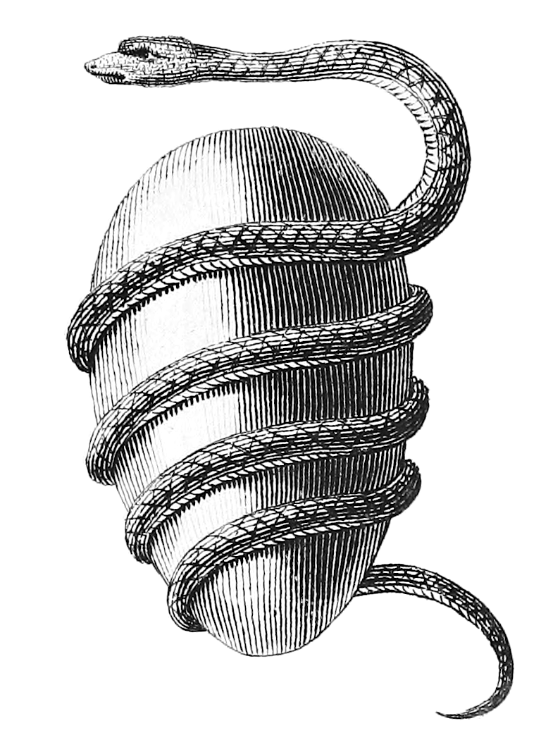 A serpent coils around an upright egg in James Basire’s 1774 engraving.