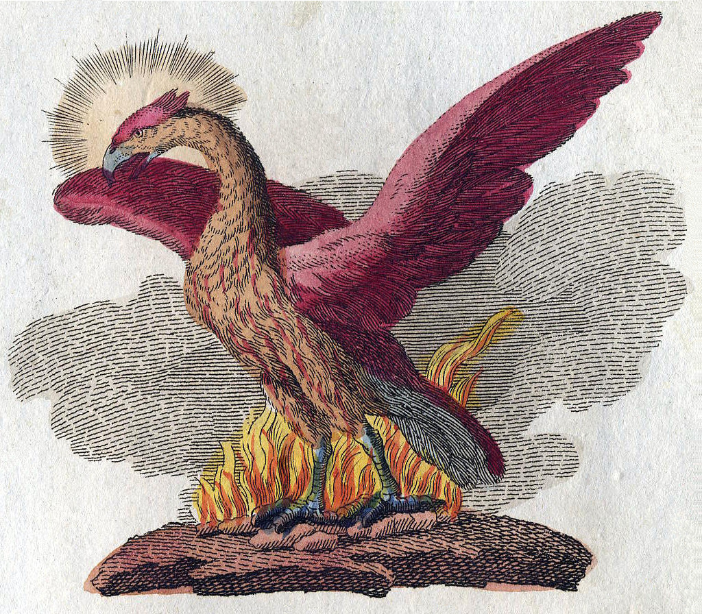Red and golden phoenix with outspread wings standing above flames, its head encircled by rays.