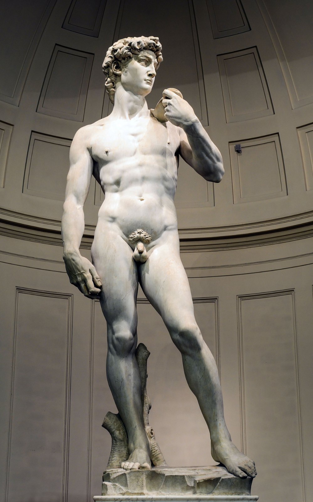 The marble statue of David by Michelangelo, a young nude man standing in contrapposto with a sling over his shoulder, under the skylit dome of a gallery tribune.
