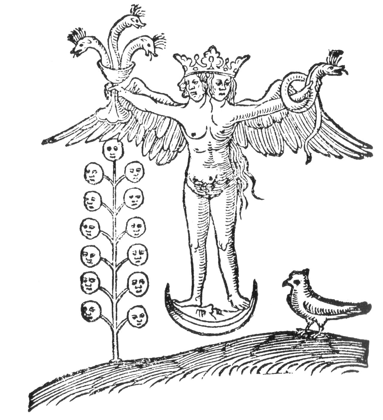 A woodcut of a crowned, winged figure with 2 heads, male and female, standing on a crescent moon and holding a cup of 3 serpents and a single serpent; a tree of moon-faces grows at the left and a bird stands at the right.
