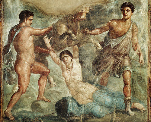 Dirce2