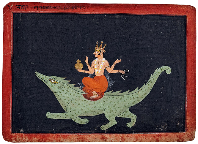 Varuna Crododile