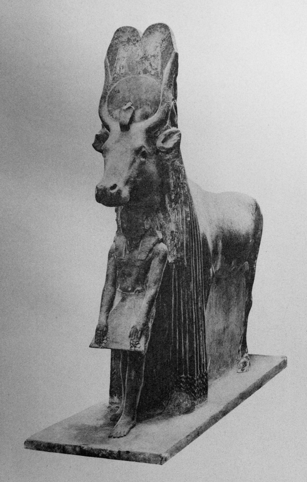 The divine Hathor cow with Amenhotep II in front, found in the chapel of Hathor at the temple of Thutmose III at Deir el-Bahari by Edouard Naville in 1906