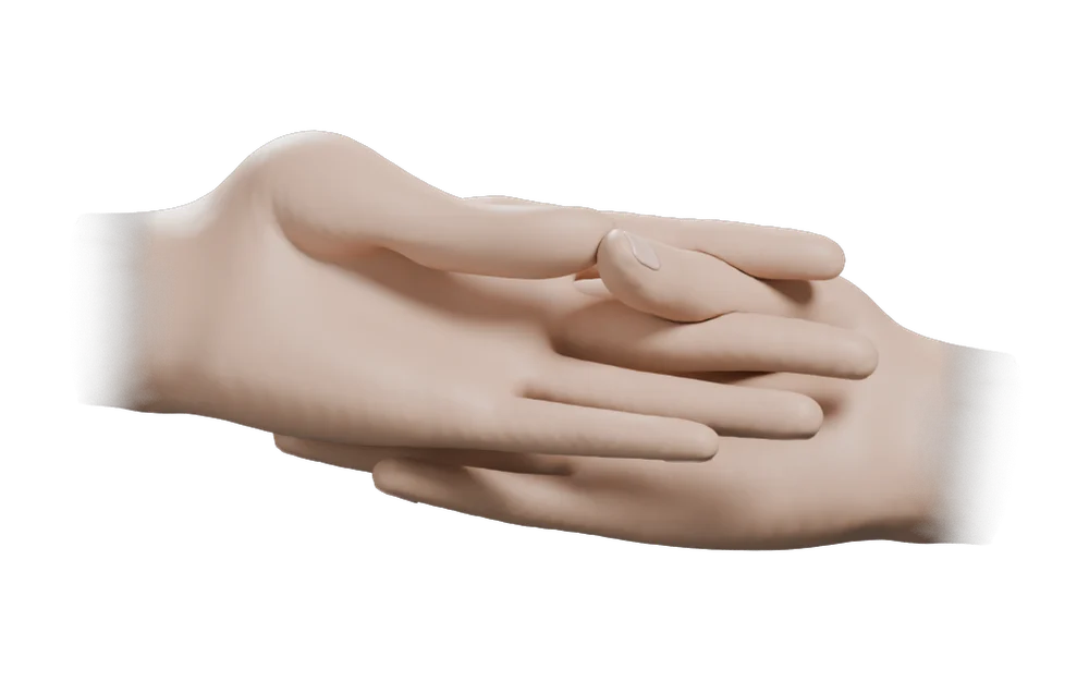 Dhyana Mudra: The practitioner's own view
