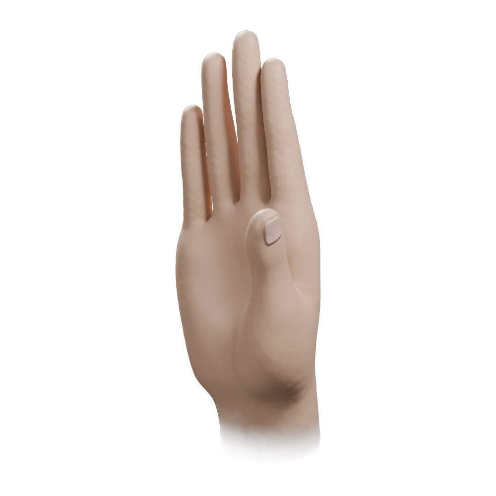 Abhaya Mudra: Three-quarter view from the practitioner's left