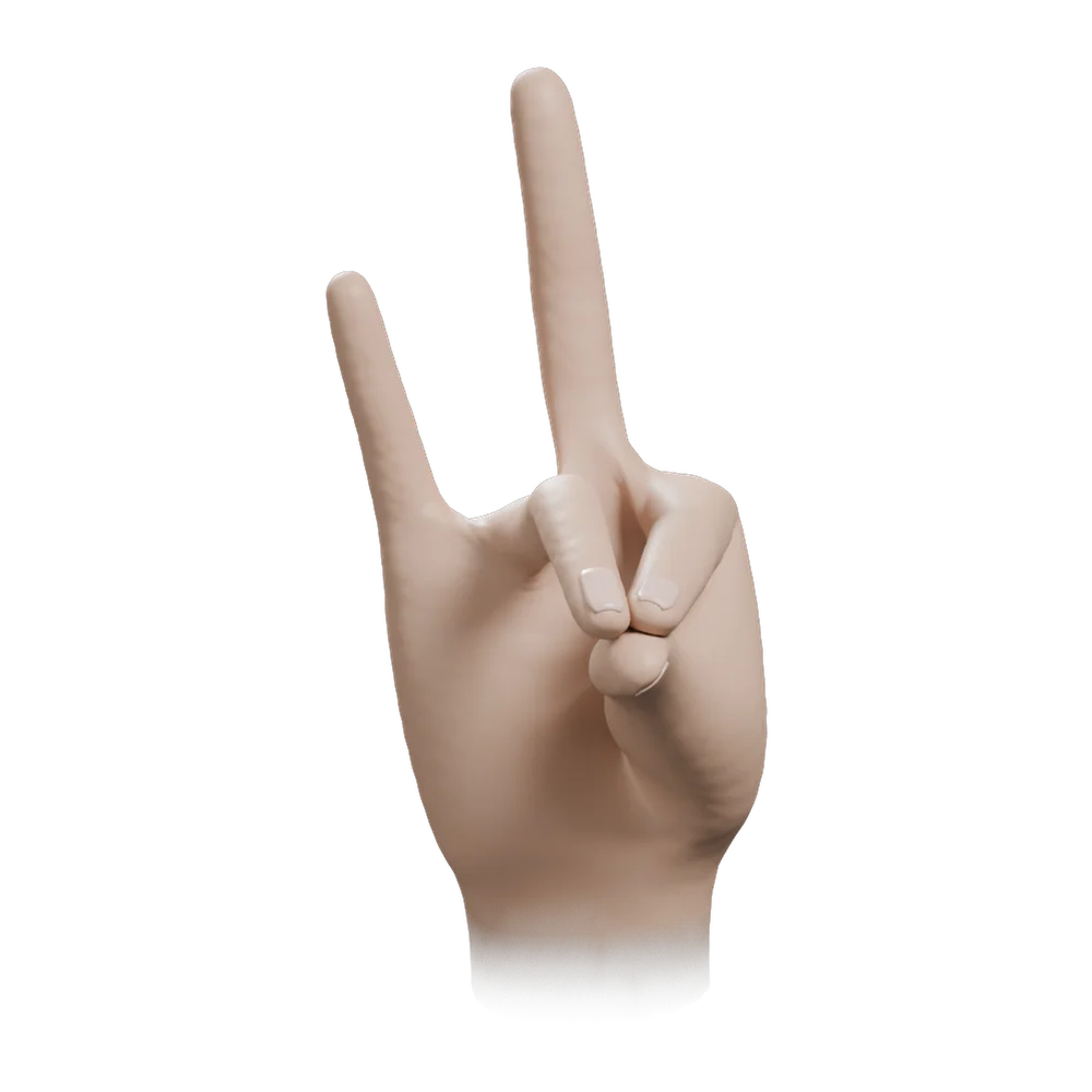 Rudra Mudra