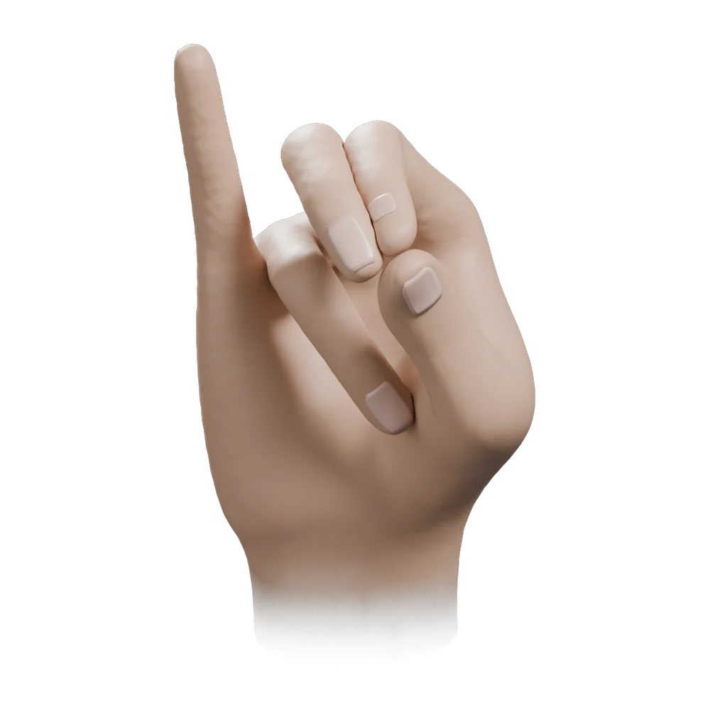 Mahasirs Mudra