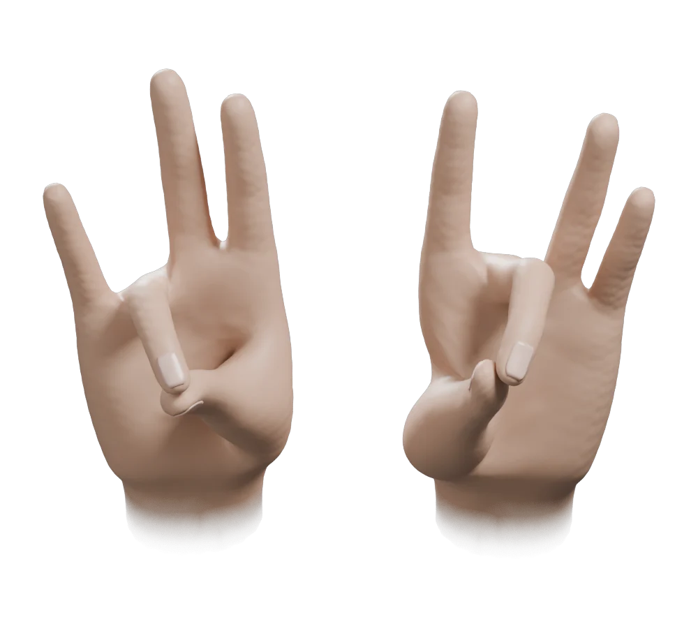 Joint Mudra: Observer's view, from above
