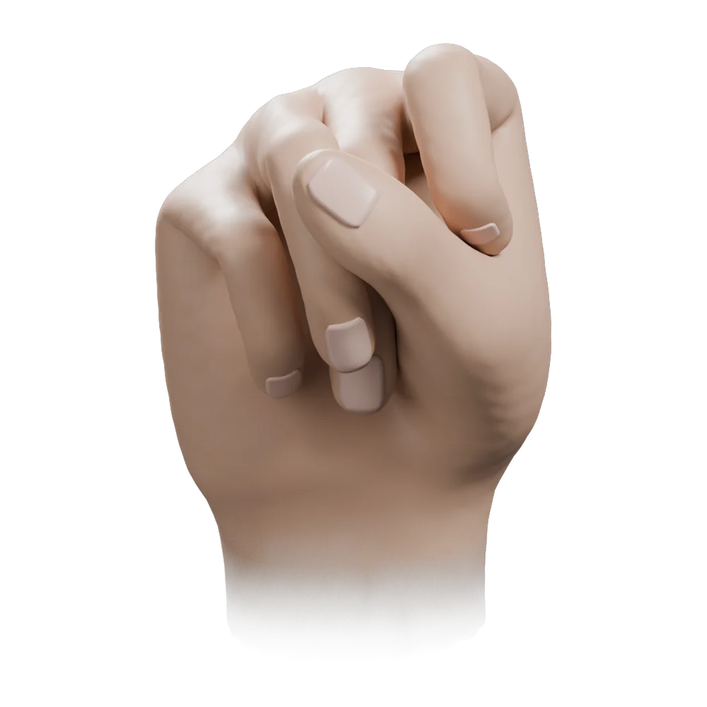 Mushti Mudra