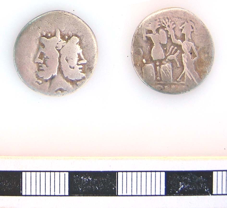 Janus