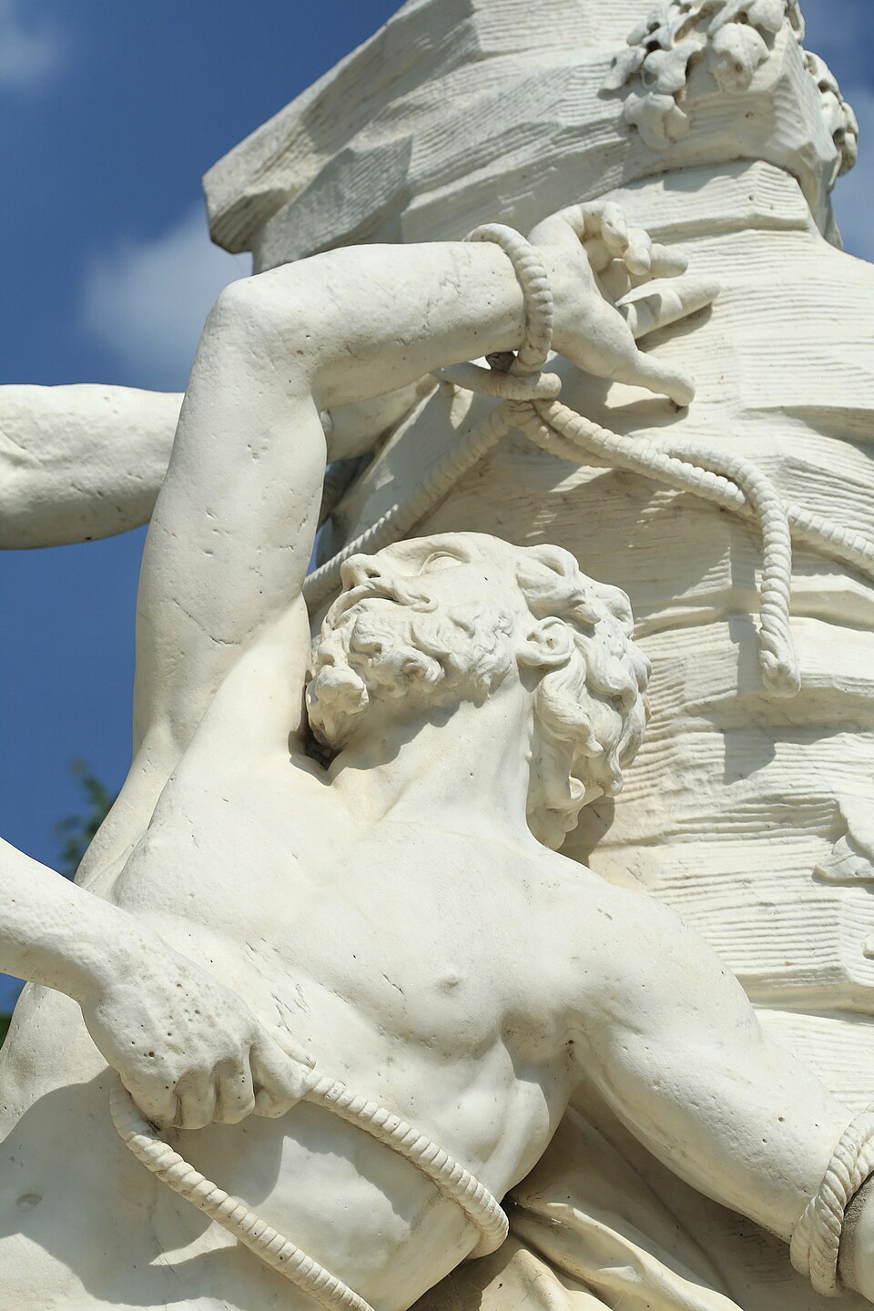 Proteus