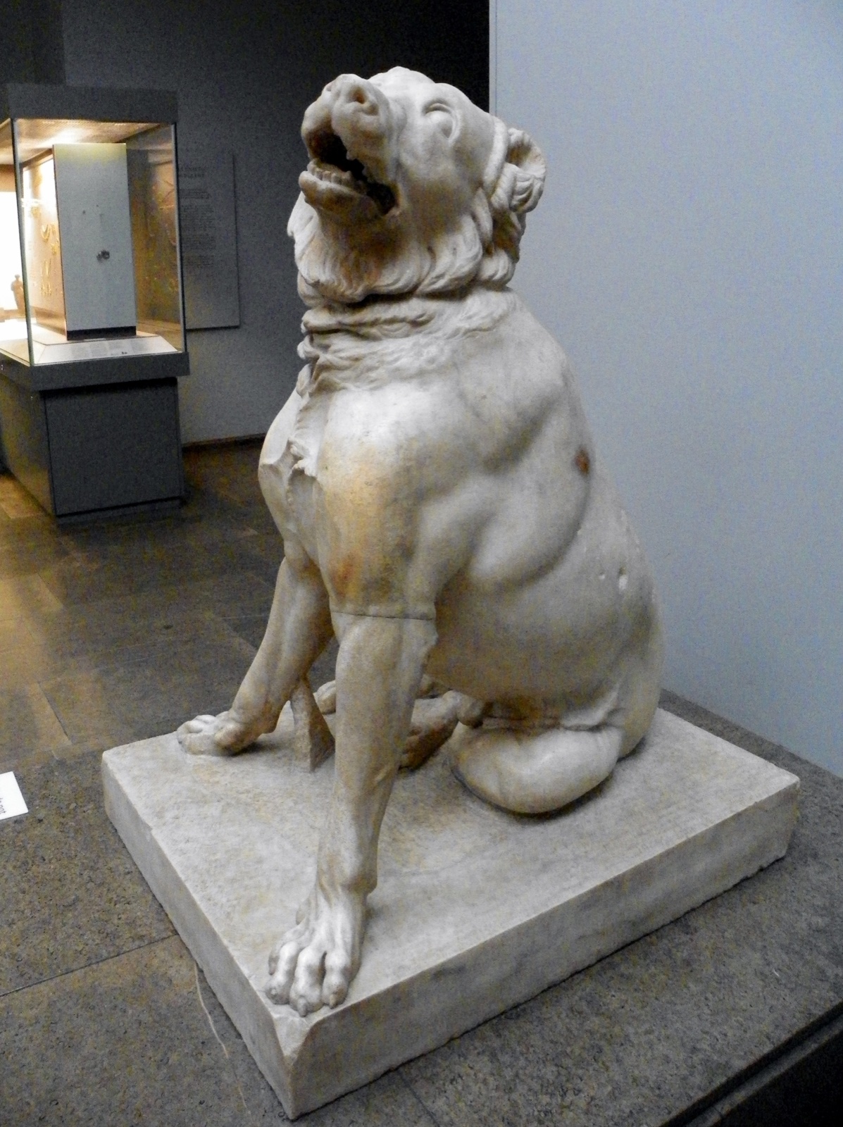 White marble statue of a large seated dog with a docked tail, head turned, on a plinth in a museum gallery.