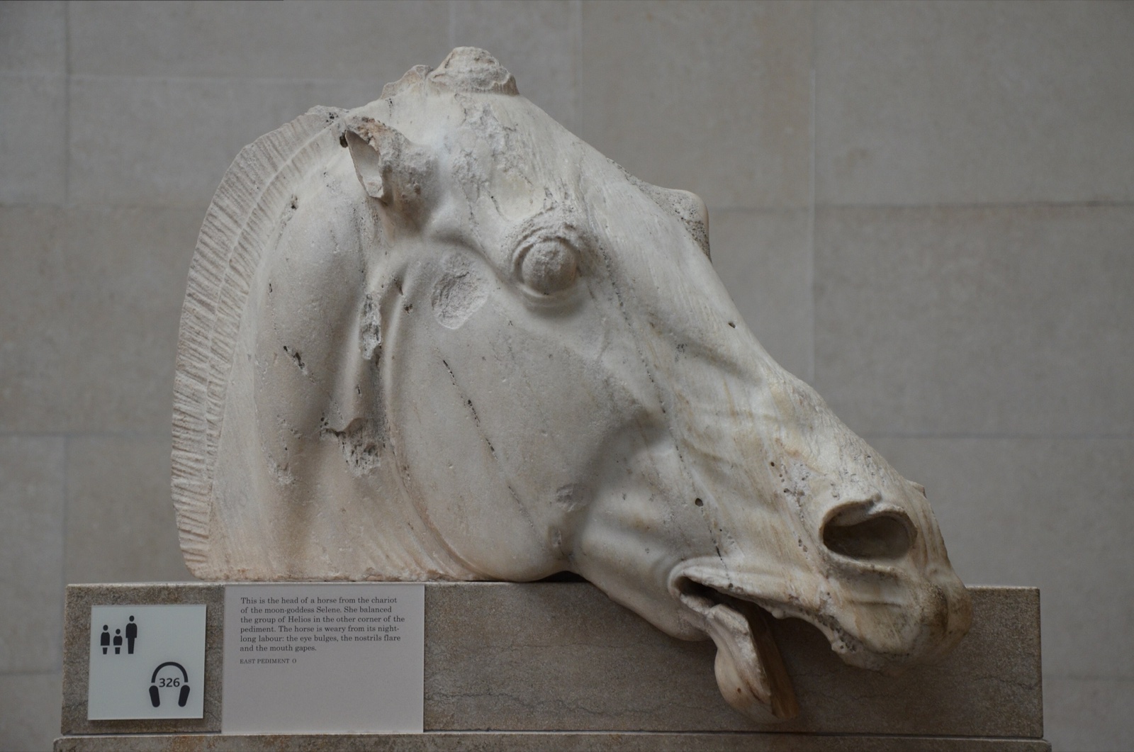 Marble head of a horse with flaring nostrils and open mouth, from the Parthenon east pediment.
