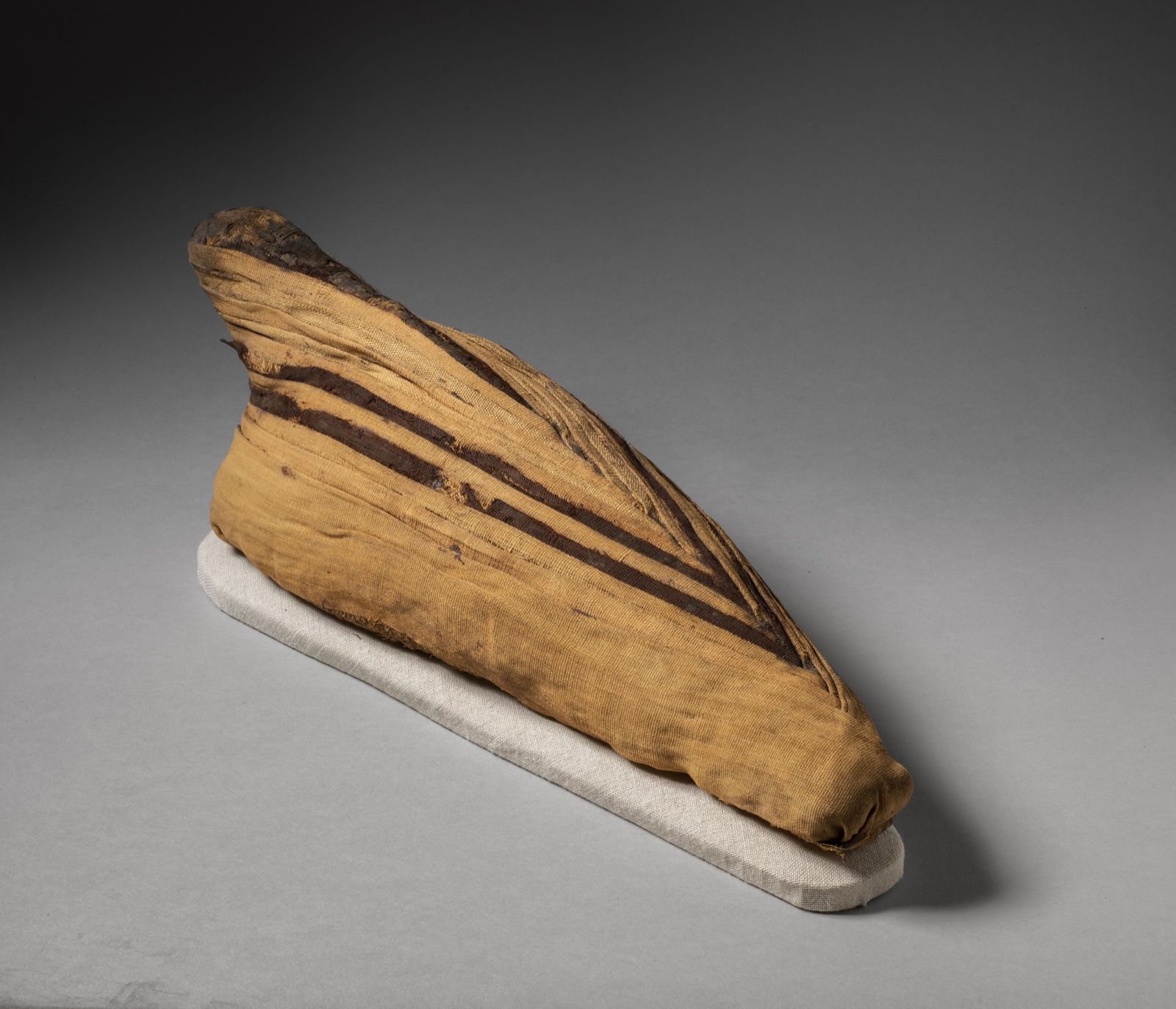 An ancient Egyptian ibis mummy bound in linen wrappings.