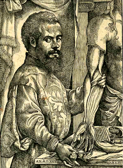 Andreas Vesalius, portrait from the 1543 Fabrica, p. [xii]