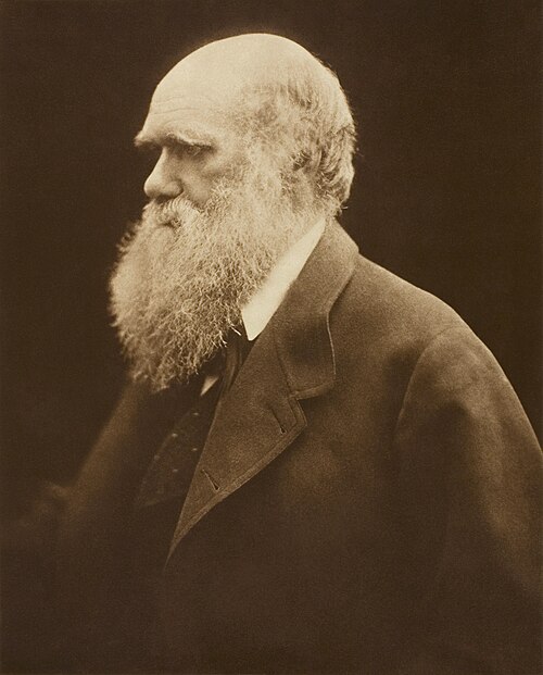 Charles Darwin, photographed by Julia Margaret Cameron c. 1868; carbon print of 1875, Art Institute of Chicago 1949.881. Digital restoration by Adam Cuerden