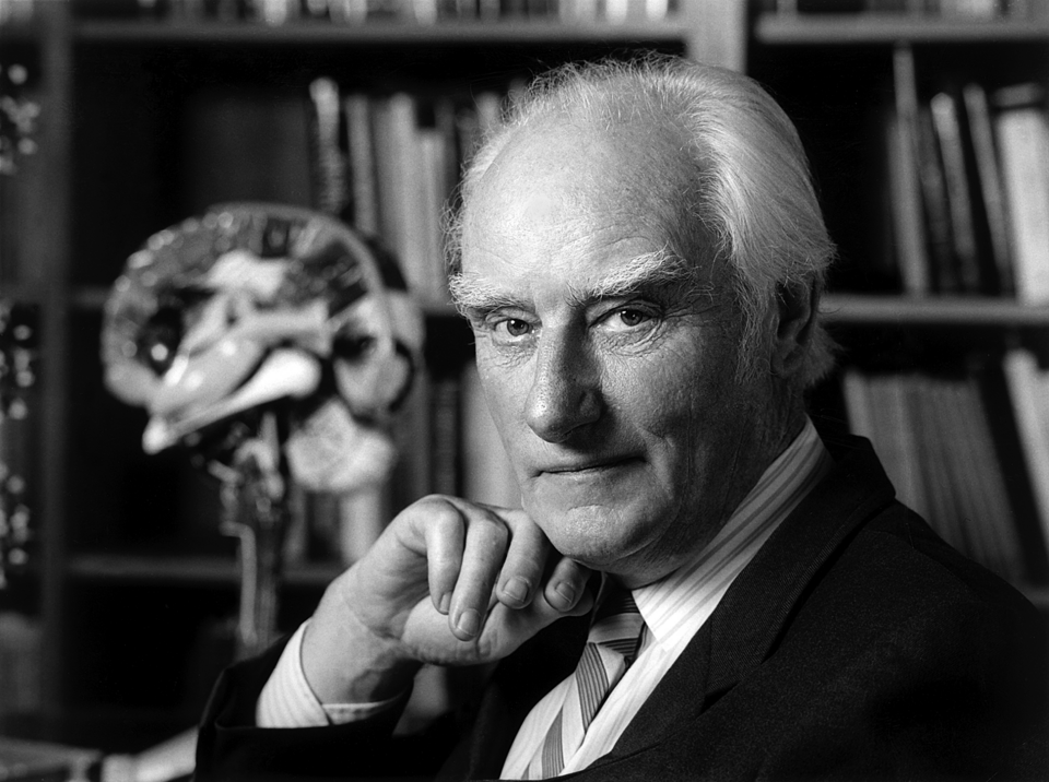 Francis Crick in his office; date of photography not established