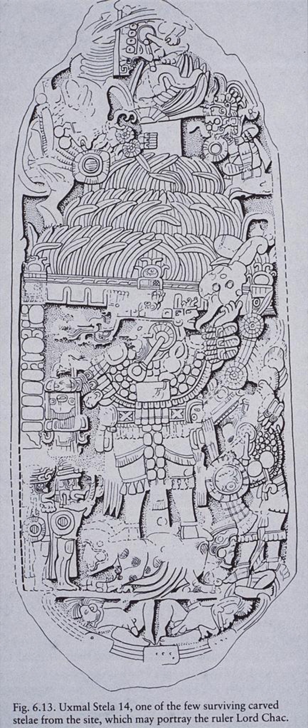 Shalis22’s 2017 reconstruction drawing of Uxmal Stela 14, showing the ruler personifying Chaahk. It records ancient iconography through a modern drawing; it is not a photograph of the original stone
